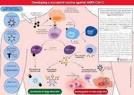 A vaccine based on messenger rna (mrna) technology does not use inactivated virus, attenuated virus, or any other kind of virus. Covid 19 Vaccine Development Invivogen