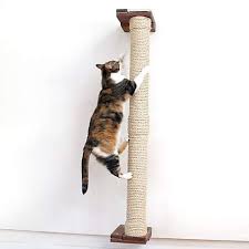 Catastrophicreations The Cat Mod 48 Wall Mounted Sisal Pole For Cats In English Chestnut 8 In W X 53 In H Petco Cat Hammock Sisal Mod Wall
