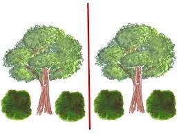 Types of balance (symmetrical and asymmetrical)level: Asymmetrical Balance In Landscape Design