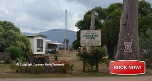 Sleeps up to 5 (double bed / single over powered sites, drinking water available in sections of the park, the ideal camping spot for family groups. Caravan Park Mole Creek Accommodation Deloraine Tent Camping Caravans Sheffield Powered Sites Cabins Backpacker Hostel Accommodation