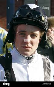 Horse racing horses horses headshot head shot portrait hi-res stock  photography and images