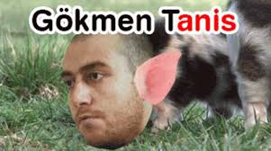 Saldırganın gökmen tanış isimli bir türk olduğu ortaya çıktı. Gokmen Gokmen Tanis Gif Gokmen Gokmentanis Discover Share Gifs