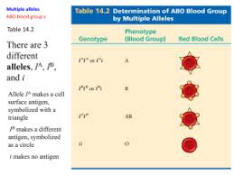 How To Make A Pedigree Chart For Blood Type Best Picture