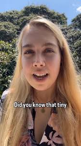 @E_StevensonBG's video Tweet