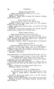 Image result for Kyllinga robinsoniana