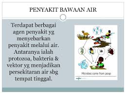 Bawaan, seperti penyakit jantung dan cacat. Penyakit Bawaan Air Disediakan Oleh Dr Hj Abdul Latif Bin Ahmad Ppt Download