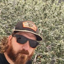 How would you rank the Lord of the Rings books?