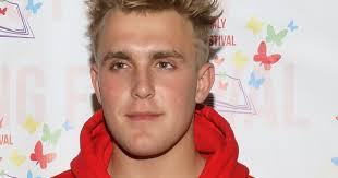 Limited team paul drop out now. Youtube Star Jake Paul S Home Raided By Fbi Multiple Guns Seized National Globalnews Ca