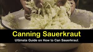 How To Ferment Can Sauerkraut The Easy Way