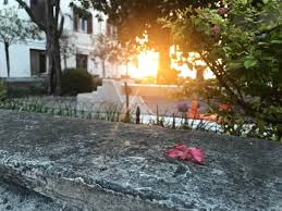 Lunedì 27 maggio 2019, 18:17 © riproduzione riservata. Cena Anniversario Matrimonio 18 Anni Bild Von Gostilna Park Piran Tripadvisor