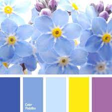color palette 2010 schemes colour palettes blue balance pantone 7676 c