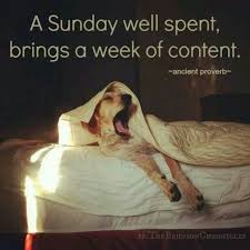 A Sunday Well Spent Brings A Week Of Content Proverb Yes Quote Lazyday Sundayfunday Animals Dog Love Coonhound