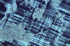 Alkali Feldspar Var Microcline With Tartan Twinning And Perthitic Texture The Light Colored Fuzzy Patches Xpl Light Colors Feldspar Optical Microscope