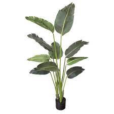 Pin By Leslie Reeder On Flowers In 2021 Paradise Plant Artificial Birds Artificial Plants