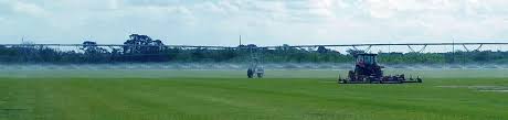 Check spelling or type a new query. Great Scott Sod Farm Fresh Cut To Order Sod Servicing Central Florida
