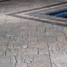 Image result for Pavetta comostyla