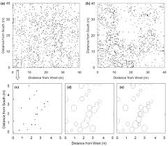 Image result for Zygophyllum leucocladum