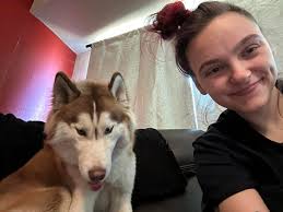 These two dogs are missing. Please help find them♡