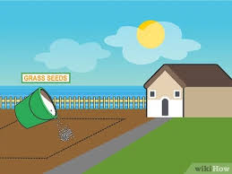 We did not find results for: 3 Ways To Level Your Yard Wikihow