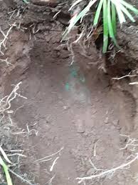 Mazino d ace vor 26 tage +1. 4 Khz Really Does Reach Big Deep Targets 80 Pounder Friendly Metal Detecting Forums