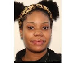 Lost dog Lela in Vein Mountain Macedonia area