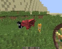 Used means it's had some wear and tear, so be wary. Animal Bikes 1 8 For Minecraft