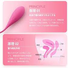 膣トレ – 膣トレボール 【骨盤底筋&尿漏れ対策&産後回復】 インナーボール ゲイシャボール 膣トレーニング ちつトレ ３点セット 健康グッズ  アダルトグッズ 女性用 – 大人のおもちゃとアダルトグッズの通販ショップ | アダルトグッズ