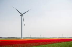 Dit zijn haar 10 mooiste looks door de jaren heen. Power Plants Prinses Alexia Windpark Vattenfall