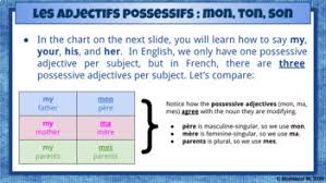 French Possessive Adjectives