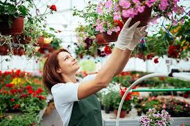 Facebook'ta oak creek plants & flowers'in daha fazla içeriğini gör. The 10 Best Garden Centers And Nurseries In Nebraska