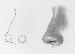 But as you will see, it is not such a big deal. How To Draw A Nose From The Front 7 Easy Steps Rapidfireart