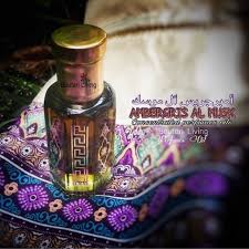 Used as ammo to charge the astrocetus's bomb attack. 6ml Ambergris Al Musk Parfume Oil Parfum Arab Minyak Wangi Nabi Anbar Musk Shopee Indonesia