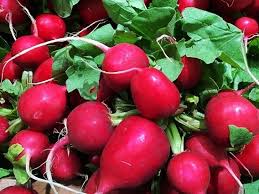 Rabbits can eat radish greens (leaves and stems too) in moderation as an occasional part of their leafy greens. Can Rabbits Eat Radishes We Re All About Pets