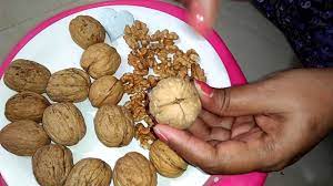See full list on wikihow.com Easy Way To Open Walnut Shell Walnut Method How To Open Walnut Shell Youtube