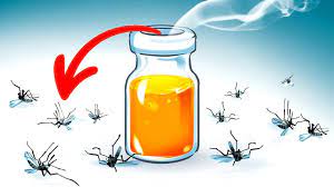 How to kill mosquito larvae. 15 Natural Ways To Get Rid Of Mosquitoes In Your Yard Youtube