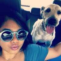 North Westchester Veterinary Offices