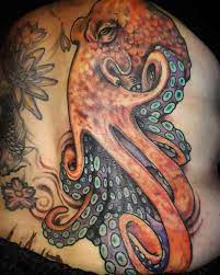 Maybe you would like to learn more about one of these? 125 Magnificent Octopus Tattoos Trending In 2021 Wild Tattoo Art