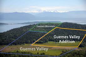 Mountain meadow acrylic painting on board by leo e. Skagit Land Trust Expands On Guemes Island With Largest Donation News Goskagit Com