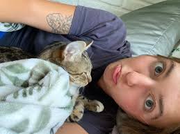 Affordable pet-friendly rentals in Toccoa or Lavonia?