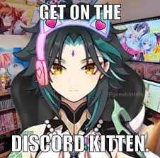 Get On The Discord Xiao In 2021 Funny Kitten Mood Pics