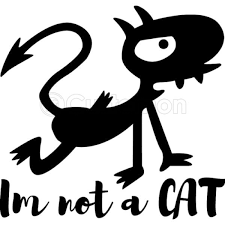 About 450 results (0.42 seconds). Disenchantment Luci I Am Not A Cat Iphone 5 5s Case Customon
