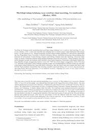 Pengertian manajemen menurut para ahli. Pdf Morfologi Tulang Belakang Ossa Vertebrae Ikan Keureling Tor Tambroides Bleeker 1854 The Morphology Of Thai Mahseer S Tor Tambroides Bleeker 1854 Axial Skeleton Ossa Vertebrae