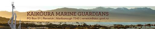 Https Www Doc Govt Nz Globalassets Documents About Doc Statutory Bodies Kaikoura Marine Guardians Annual Report 2019 2020 Pdf