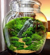 Top Scoring Links Terrariums Beautiful Terrariums Terrarium Terrarium Decor