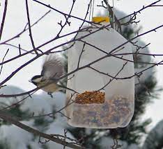 Feeding The Birds Part 2 Bird Seed Feeders Winter Bird Feeders Bird