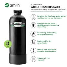 Bacterial agents constitute a real challenge for water purification systems. A O Smith Whole House Salt Free Water Descaler At Lowes Com Water Filtration Water Filtration System Filtration System