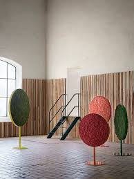 Image result for Grona afra