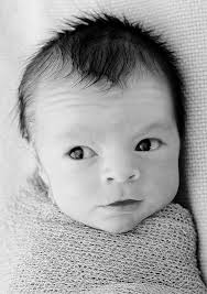 TIGERS...THAT'S WHO!