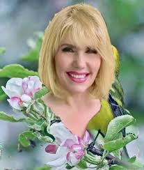 Cuba, el arte y sus artistas