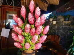 Ginger Flower Restaurant Best Flower Wallpaper
